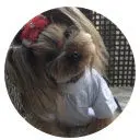 Depoimento de cliente