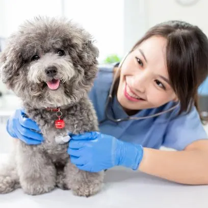 Os melhores profissionais